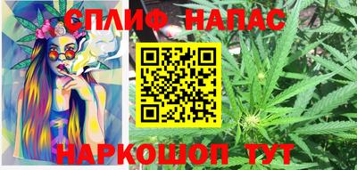 сатива Обь