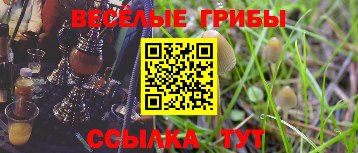 Галлюциногенные грибы мицелий Татарск